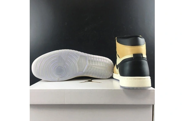 Premium Air Mushroom WMNS 1 Fossil Jordan AH7389-003 AH7389-003 High 0417